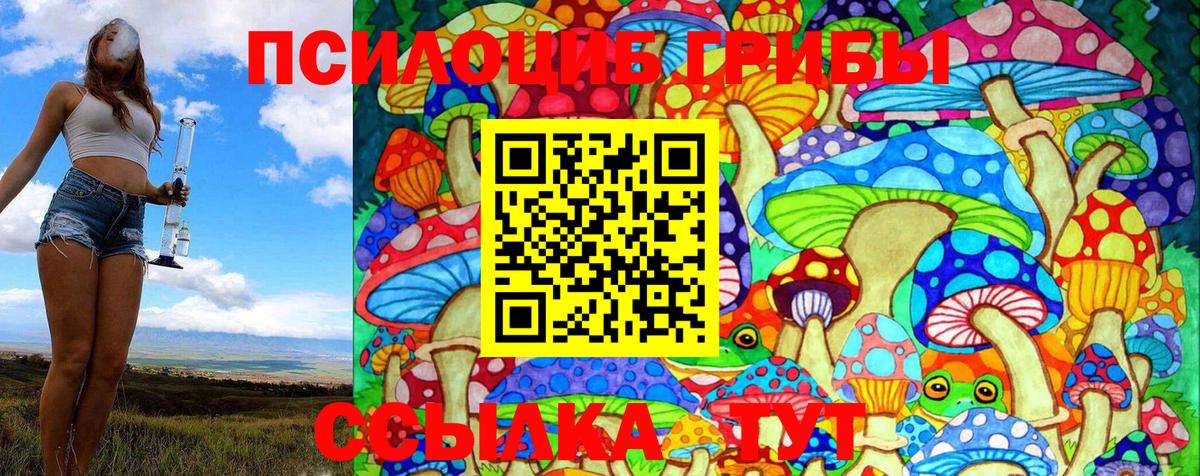 Псилоцибиновые грибы Psilocybine cubensis Кулебаки