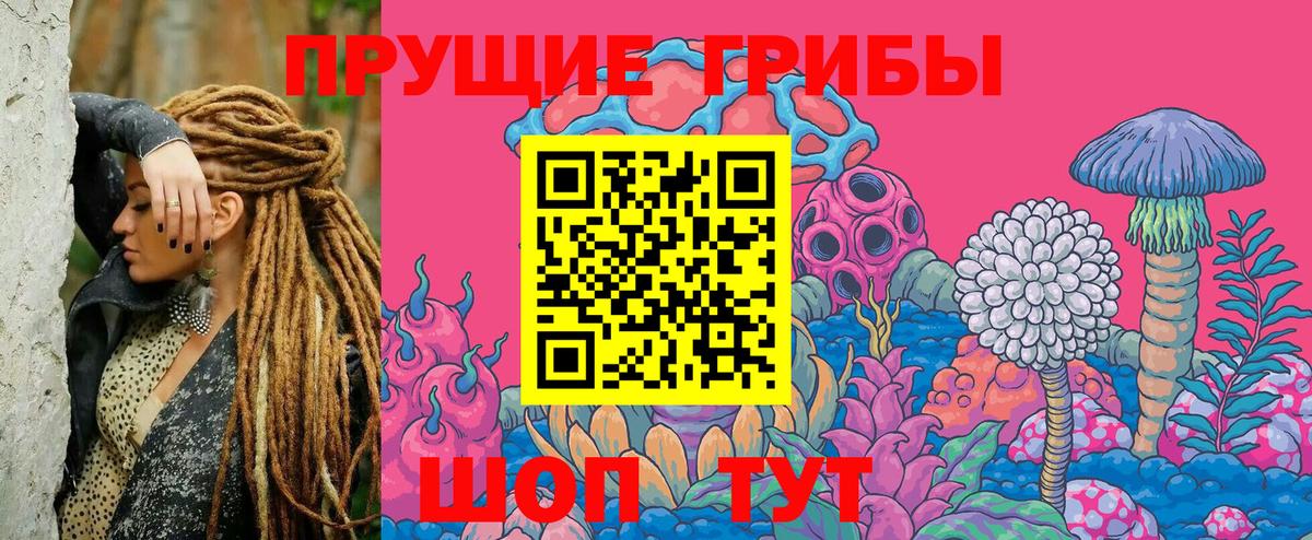 Псилоцибиновые грибы MAGIC MUSHROOMS  Вход с VPN  Галлюциногенные грибы Psilocybe  Кулебаки 