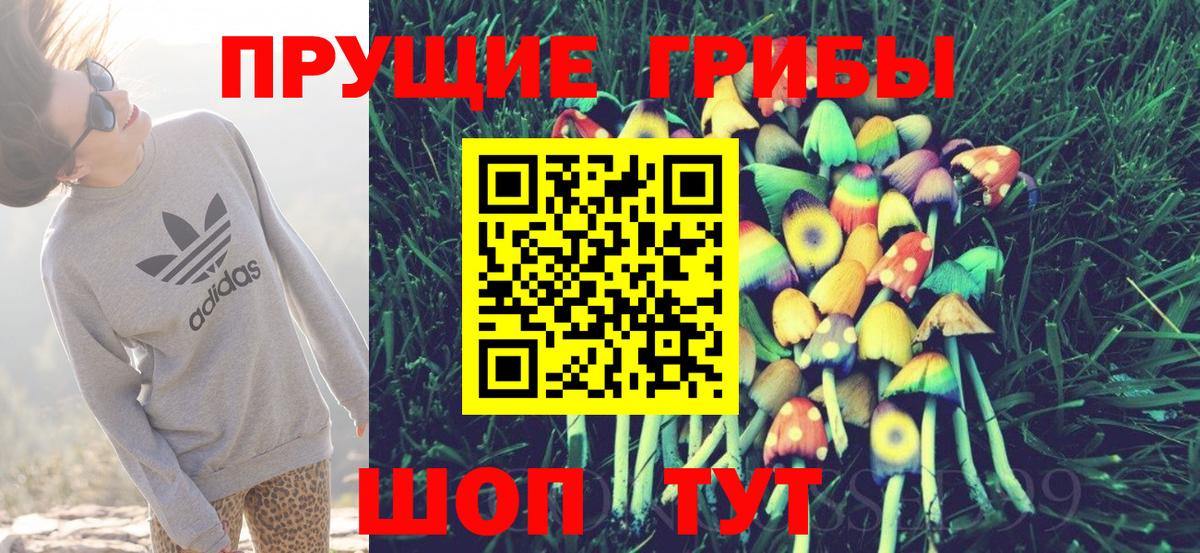 Галлюциногенные грибы MAGIC MUSHROOMS  Кулебаки  Галлюциногенные грибы мицелий 