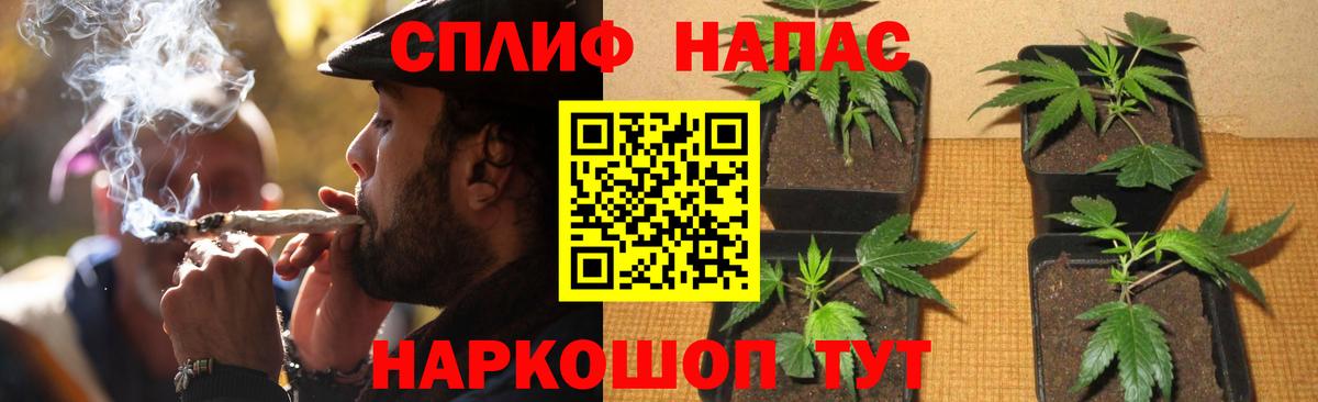 Марихуана SATIVA & INDICA Кулебаки